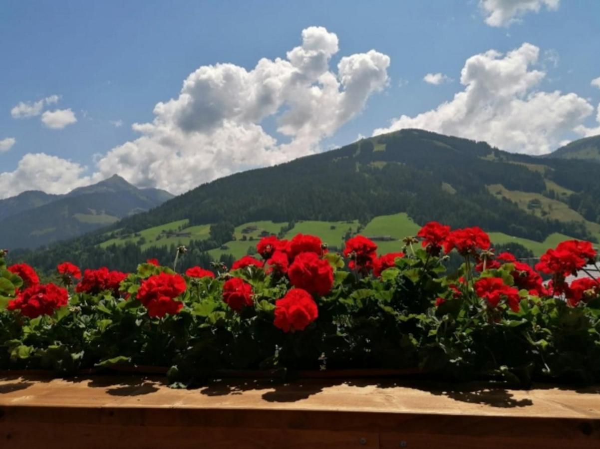 Apartmán Haus Raimund " Klein Aber Fein " Alpbach Exteriér fotografie