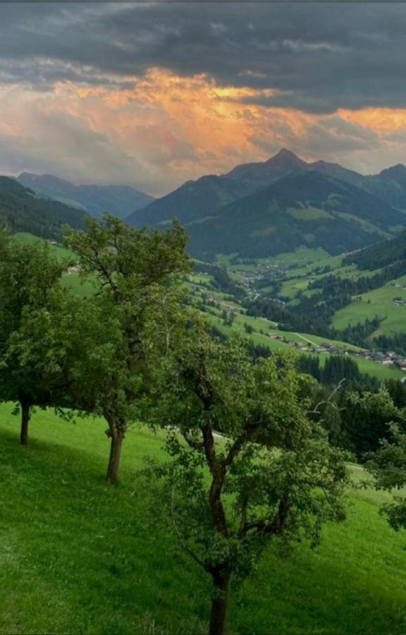 Apartmán Haus Raimund " Klein Aber Fein " Alpbach Exteriér fotografie