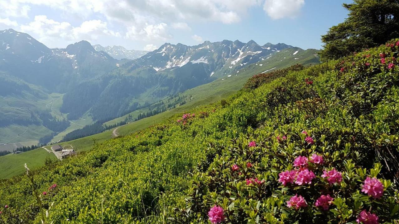 Apartmán Haus Raimund " Klein Aber Fein " Alpbach Exteriér fotografie