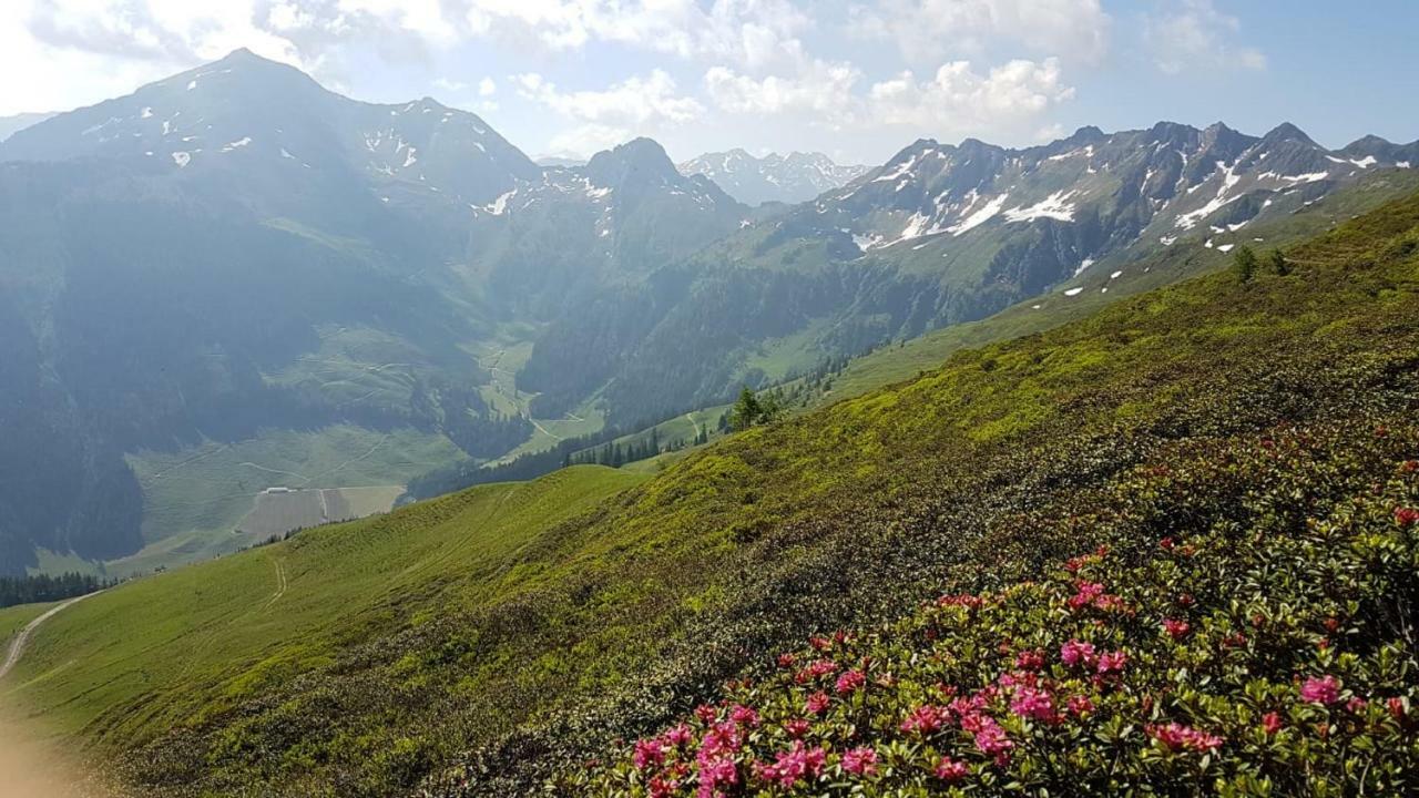 Apartmán Haus Raimund " Klein Aber Fein " Alpbach Exteriér fotografie